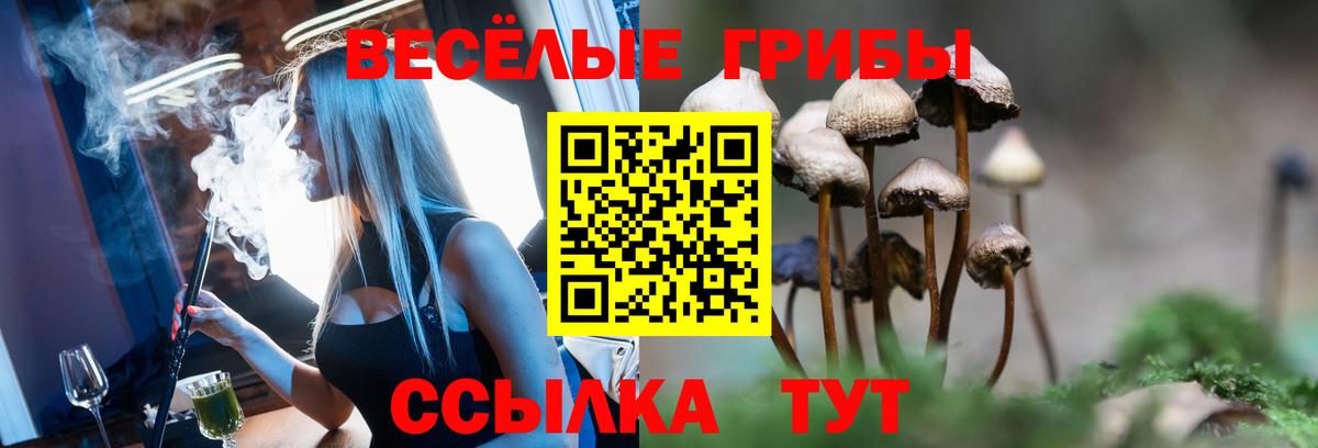 Псилоцибиновые грибы Psilocybine cubensis Крымск